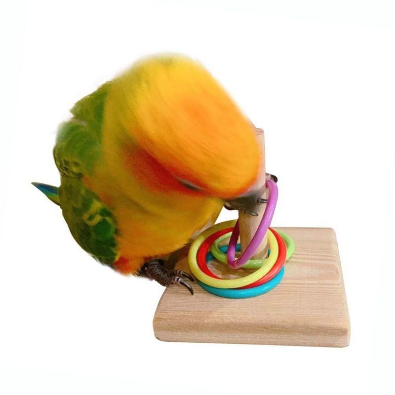 Bird Training Ring Toy Parrot  – обзор и цена Gymnastic Ring Wood