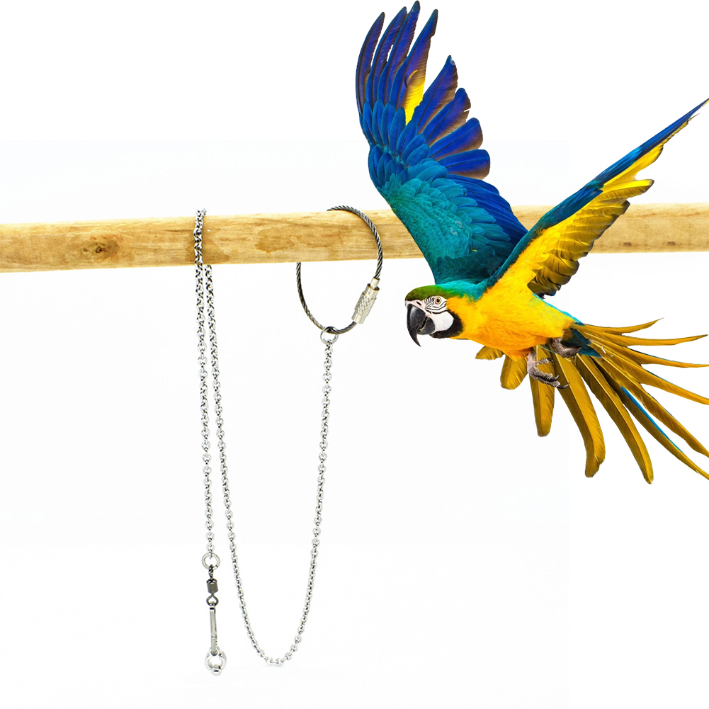 1Pcs Pet Parrot Leg Ring Ankle – обзор и цена Gymnastic Ring Wood
