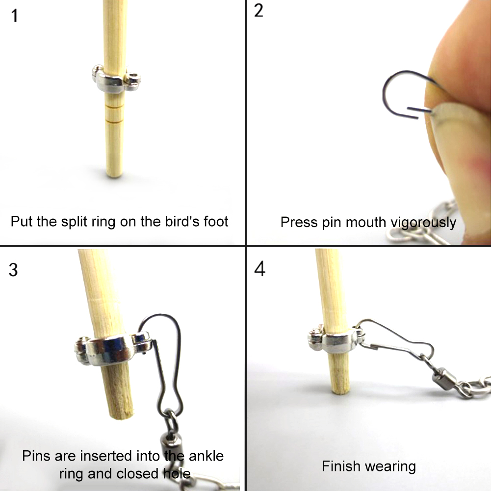 1Pcs Pet Parrot Leg Ring Ankle – обзор и цена Gymnastic Ring Wood